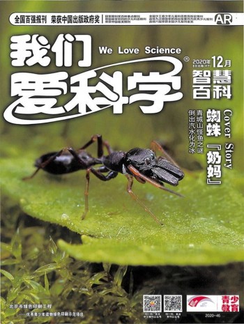 国际刊号