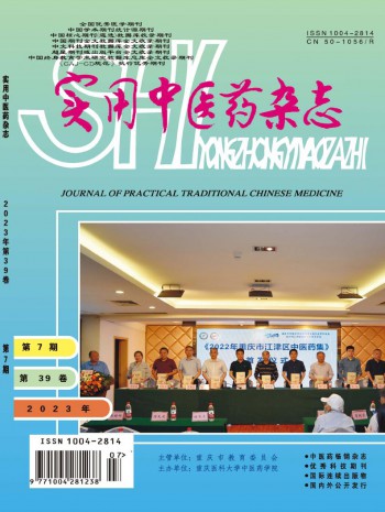 国内刊号