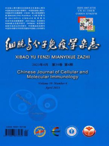国内刊号